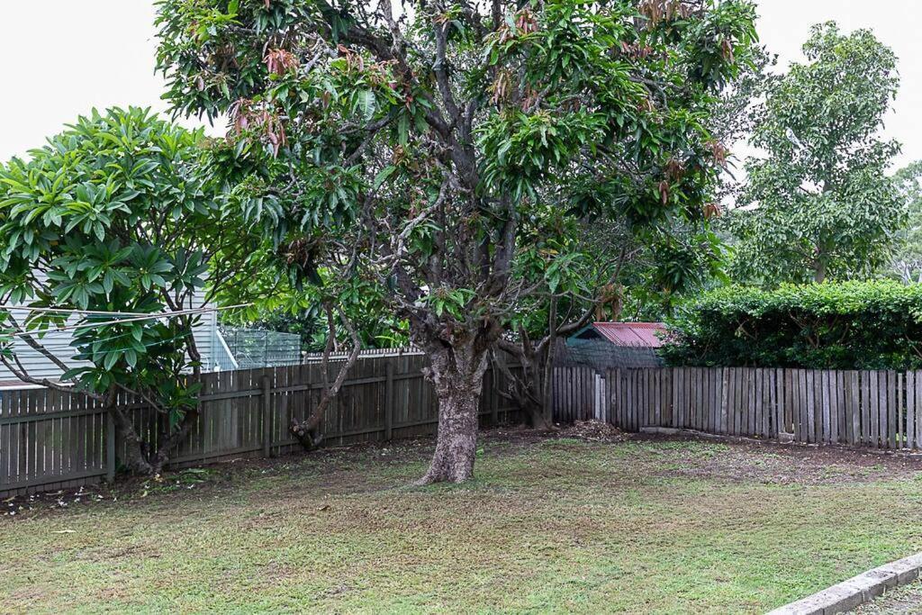 Pet Friendly Family Home 3Km To Cbd Brisbane Bagian luar foto